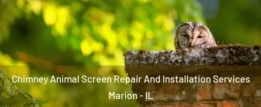 Chimney Animal Screen Repair And Installation Services Marion - IL