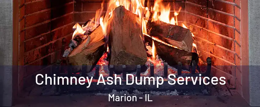 Chimney Ash Dump Services Marion - IL