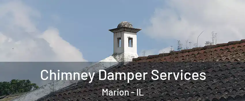Chimney Damper Services Marion - IL