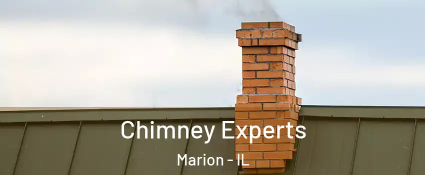  Chimney Experts Marion - IL