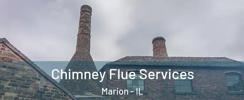  Chimney Flue Services Marion - IL