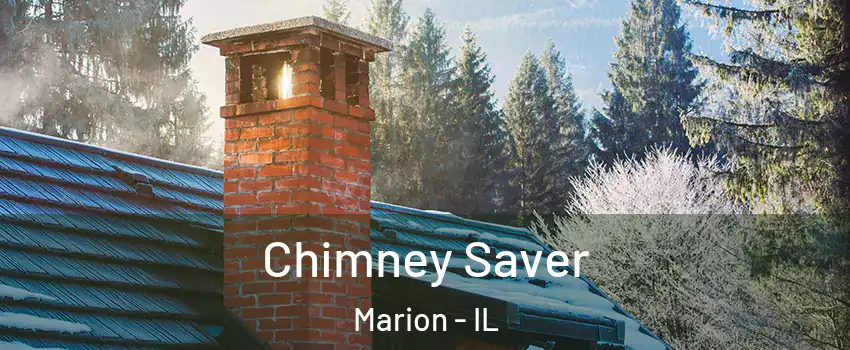  Chimney Saver Marion - IL