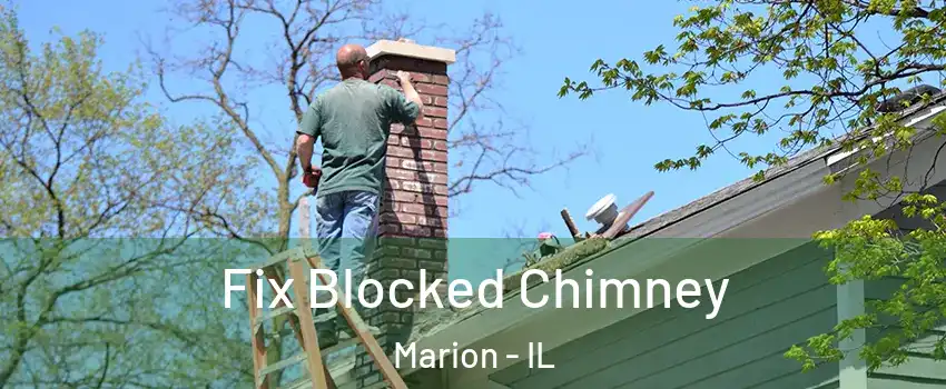  Fix Blocked Chimney Marion - IL