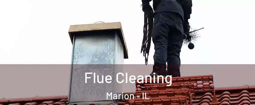  Flue Cleaning Marion - IL