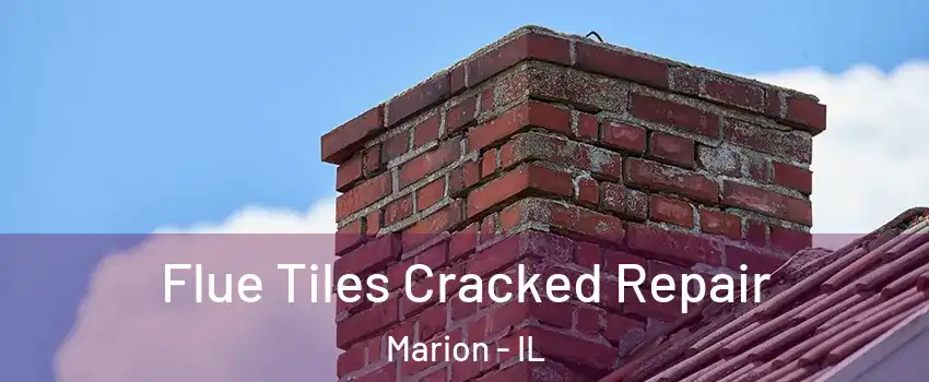  Flue Tiles Cracked Repair Marion - IL