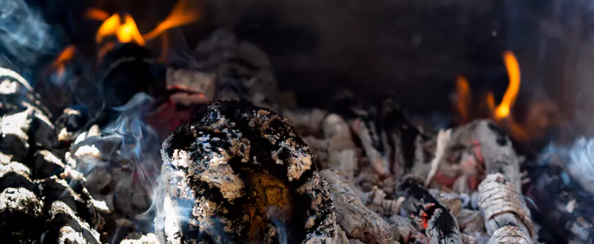 Creosote Removal Experts in Marion, IL