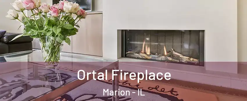  Ortal Fireplace Marion - IL