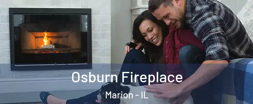  Osburn Fireplace Marion - IL